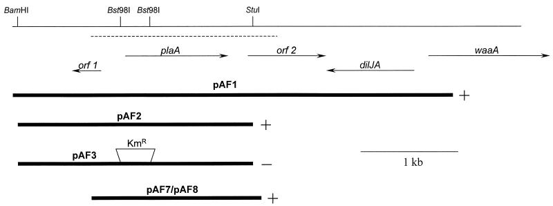 FIG. 2.