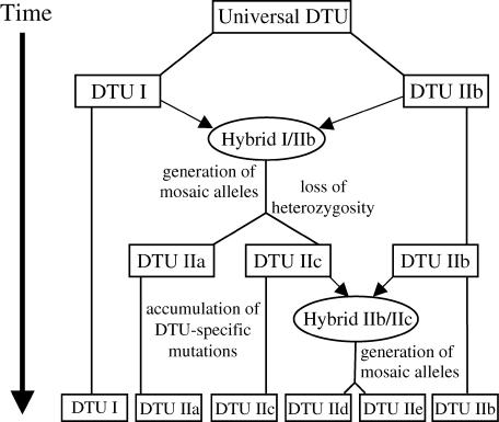 Figure 5.