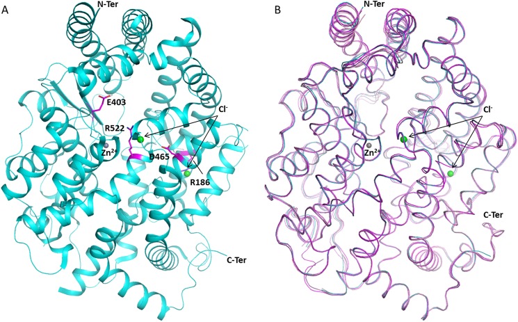 FIGURE 1.