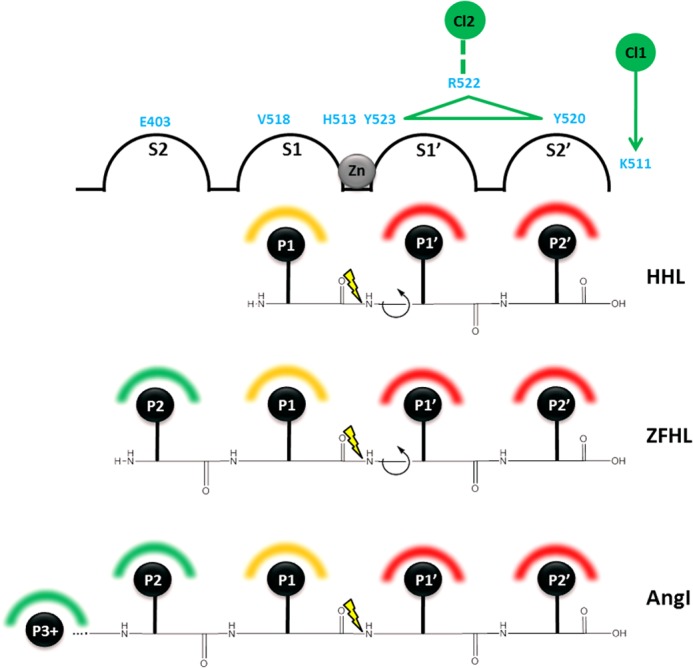 FIGURE 10.