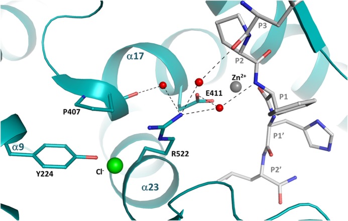 FIGURE 7.