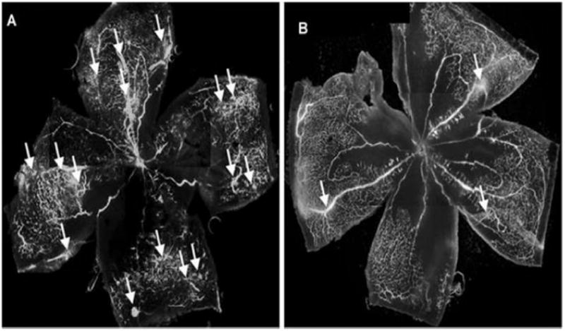 Fig. (5)