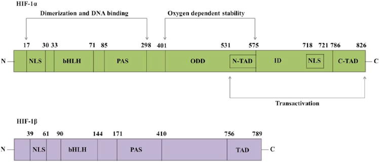 Fig. (1)