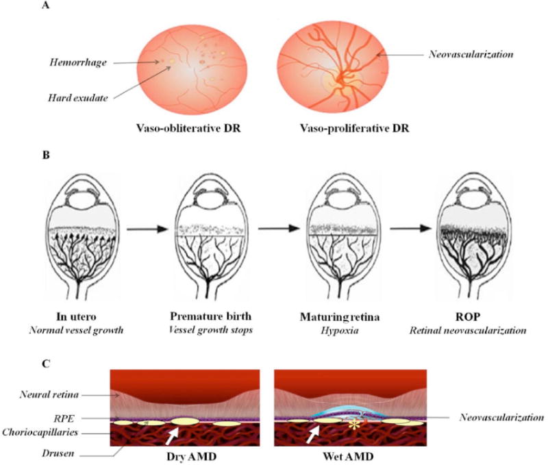 Fig. (4)