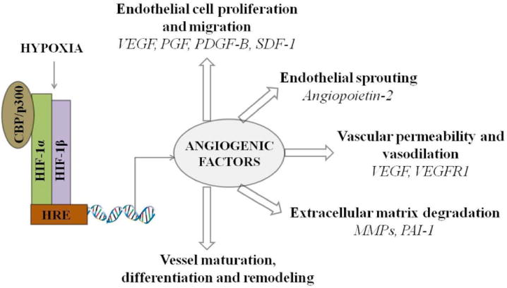 Fig. (3)