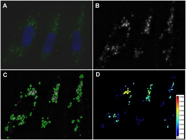 Fig 12