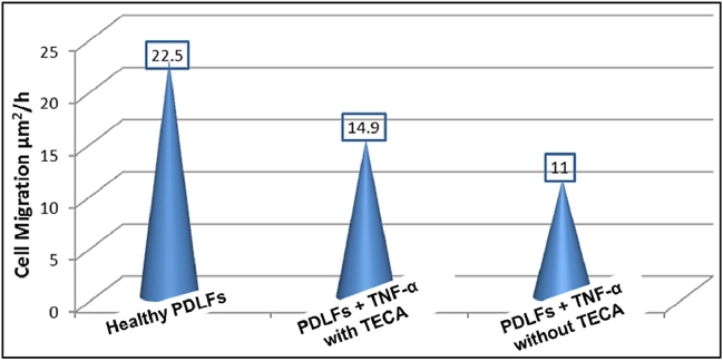 Fig. 4