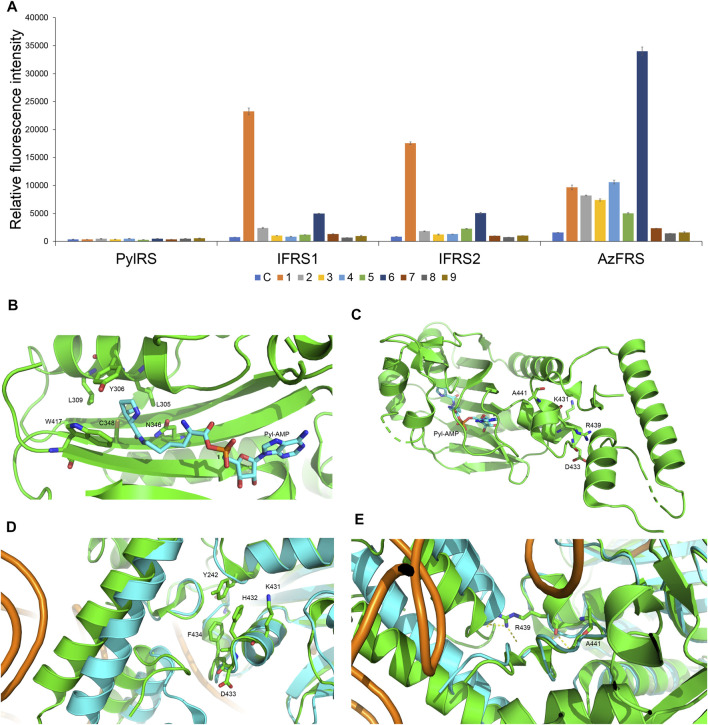 FIGURE 2