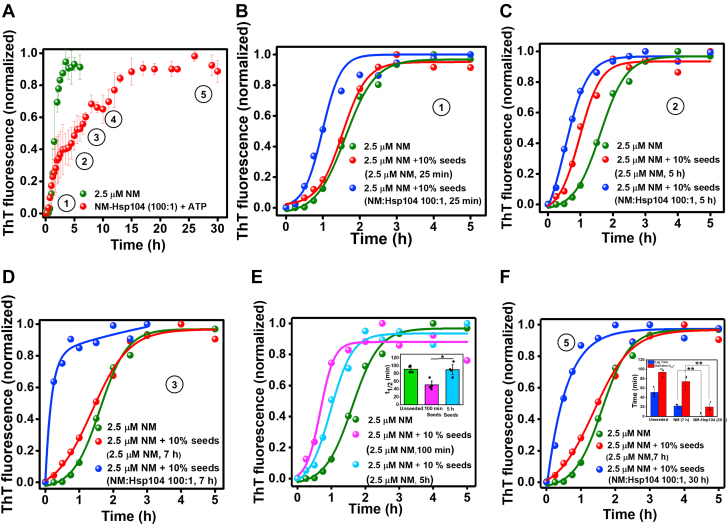 Figure 3