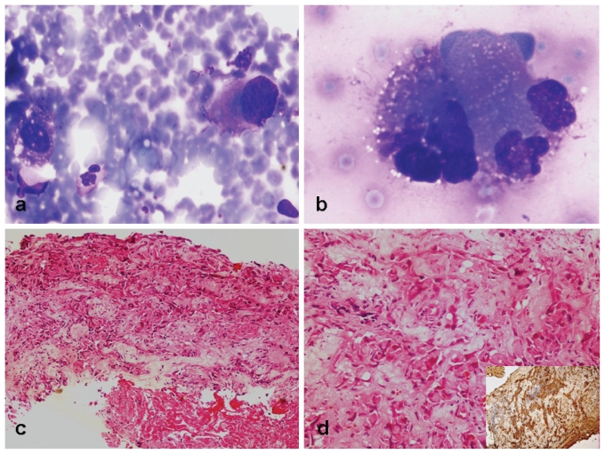 FIGURE 1