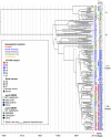 FIG 1