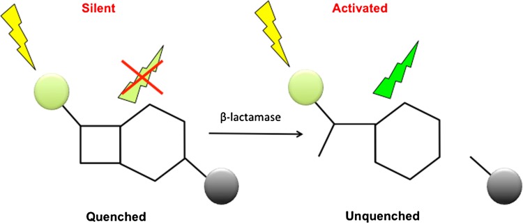 Fig. 2