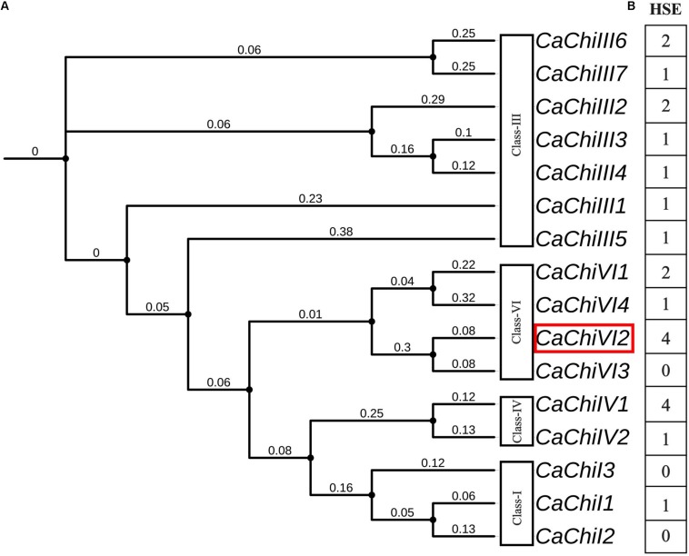 FIGURE 1