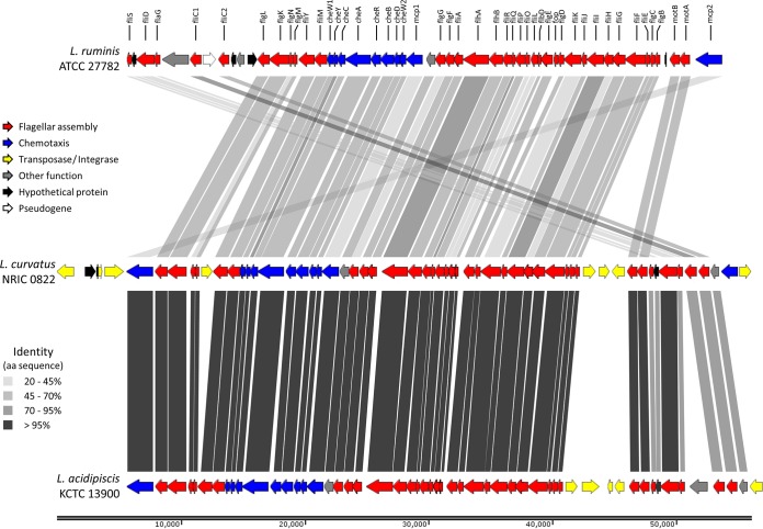 FIG 3