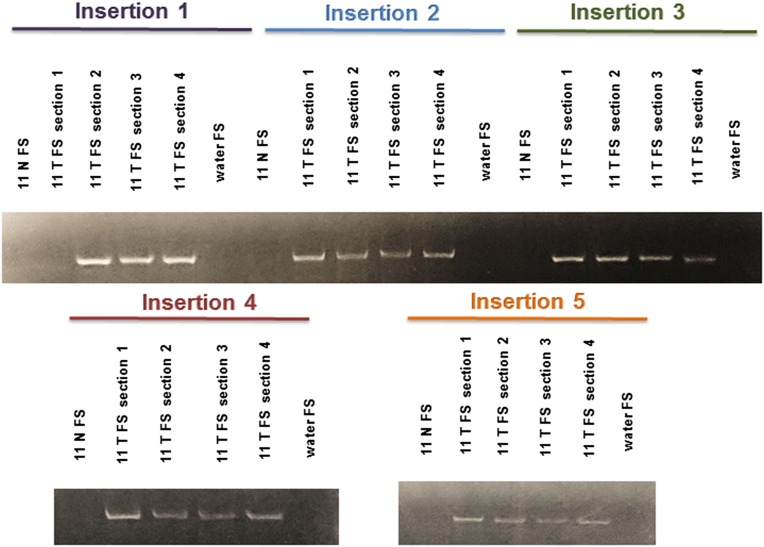 Fig. 4.