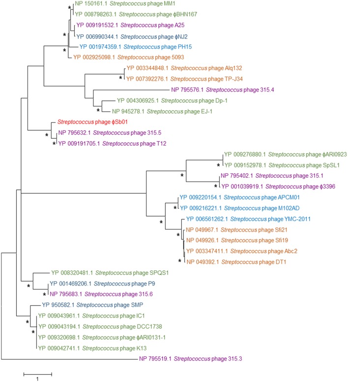 Figure 6