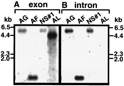 FIG. 5