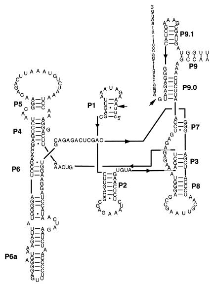 FIG. 4