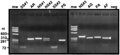 FIG. 1