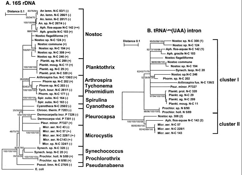 FIG. 6