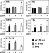 FIG 6
