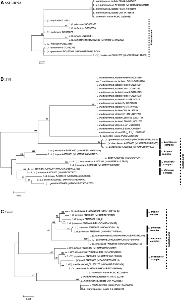 Figure 1.