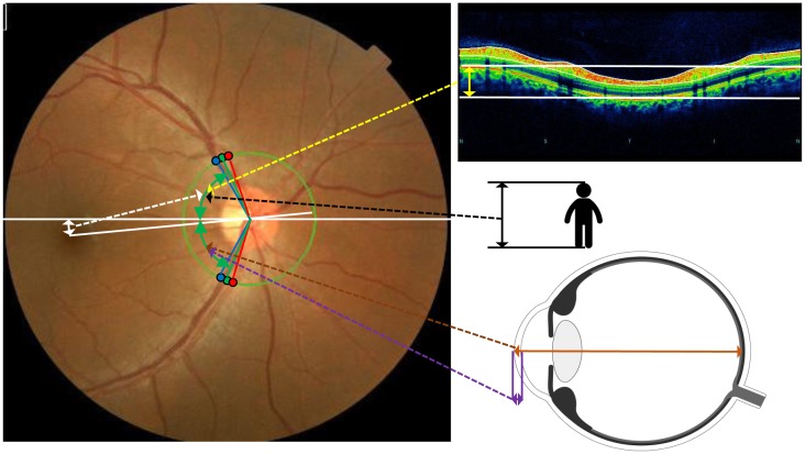 Fig 3