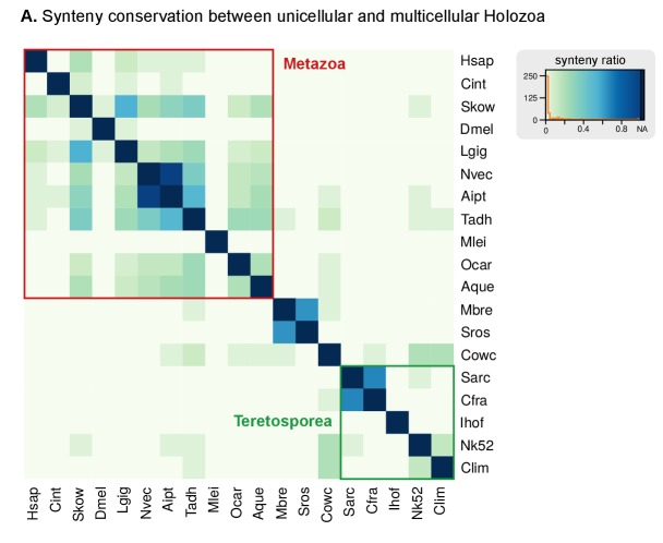 Figure 3—figure supplement 3.