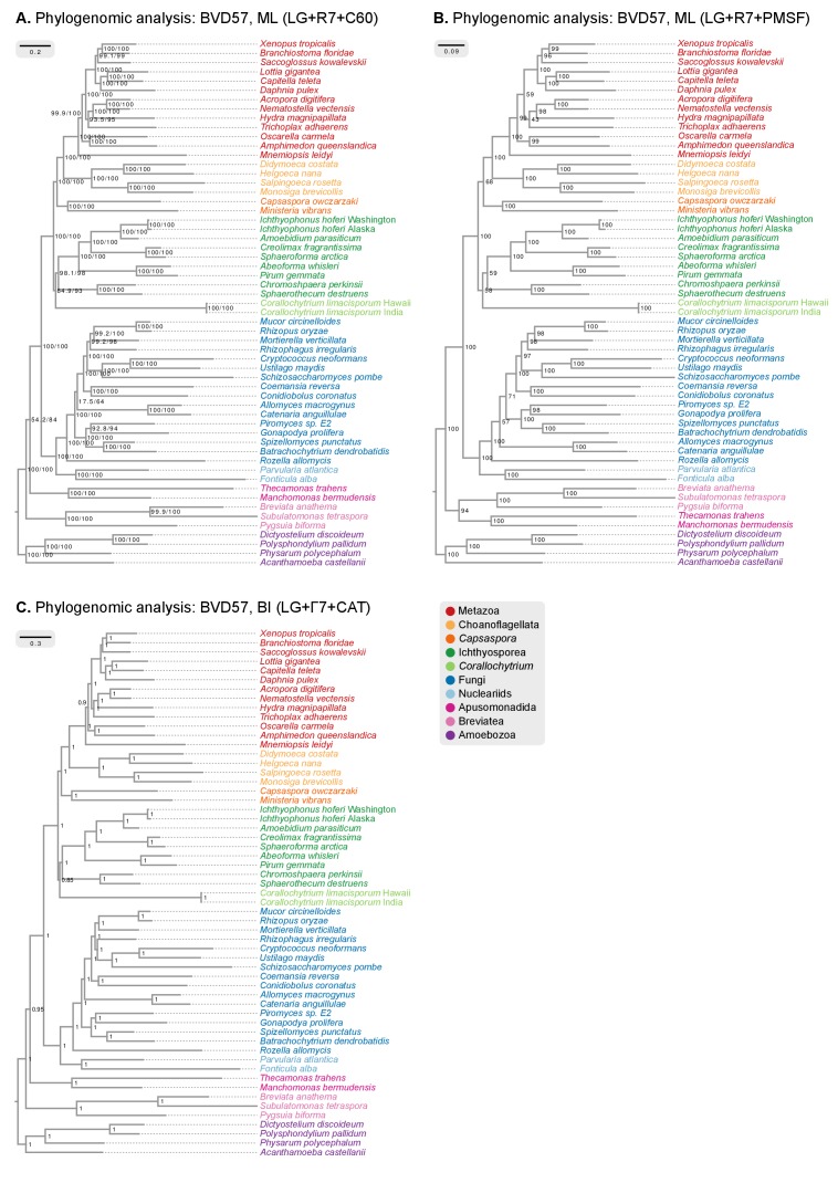 Figure 2—figure supplement 1.