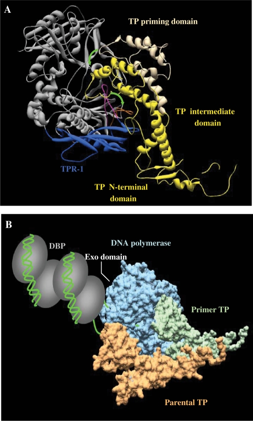 Figure 9.