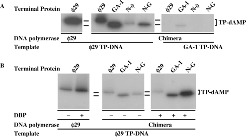 Figure 6.