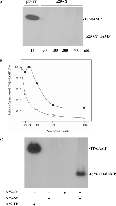 Figure 7.