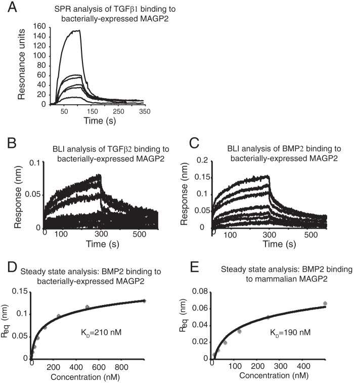 FIGURE 10.