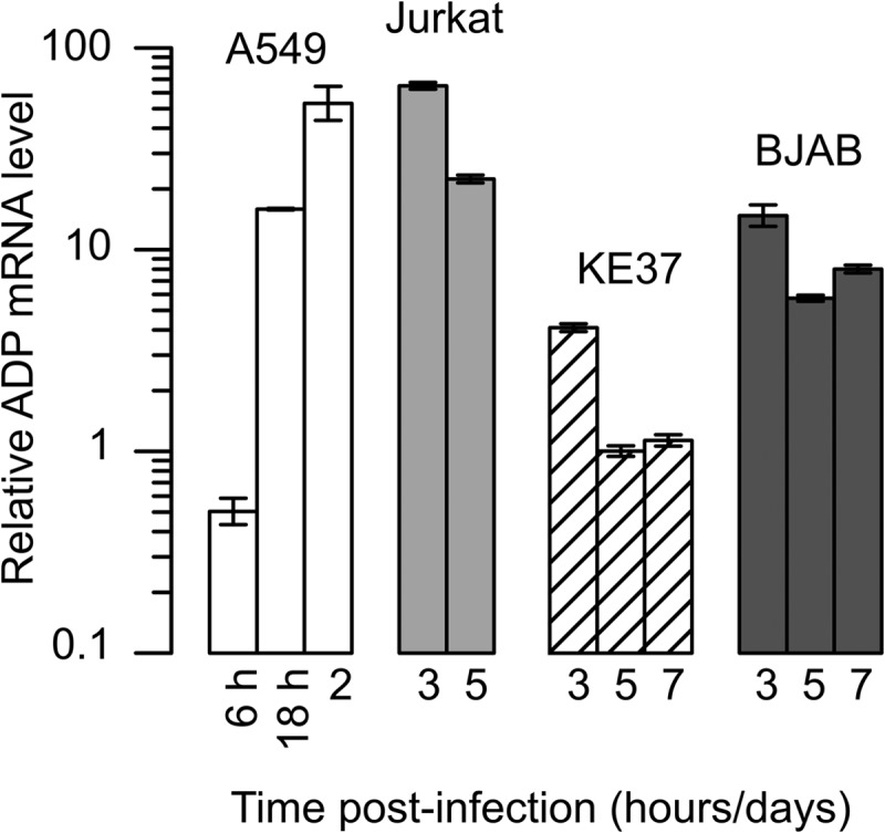 FIG 3