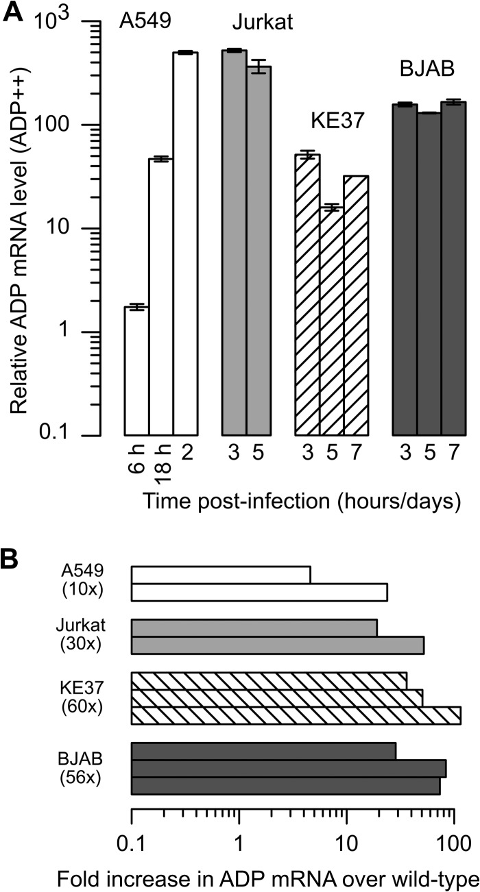 FIG 6