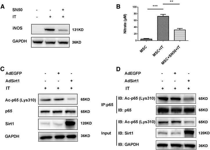 Figure 6