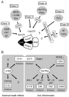 FIG. 6.