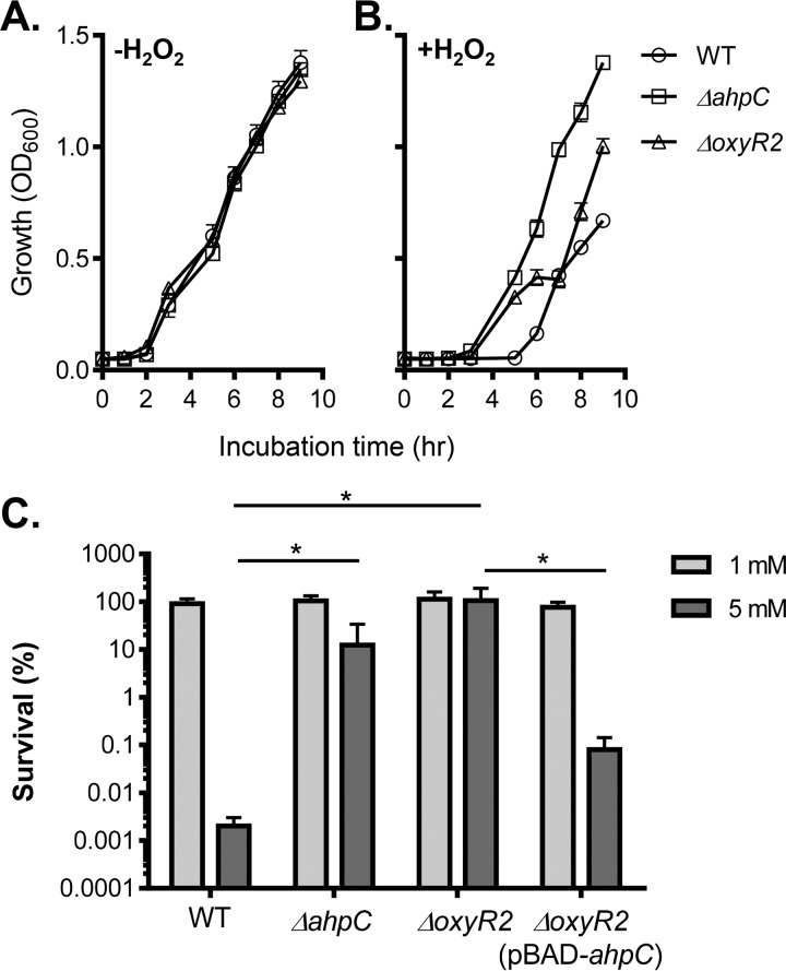 FIG 2