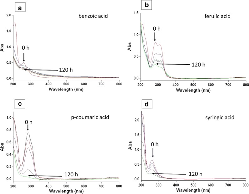 Fig. 4