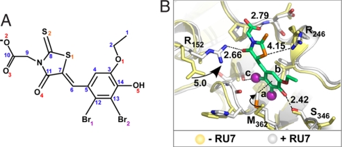 Fig. 3.