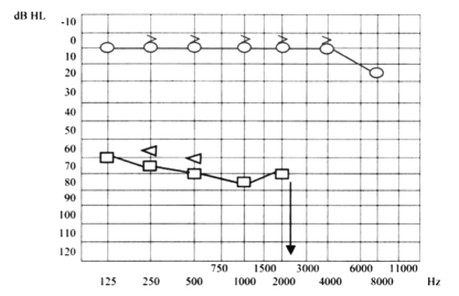 Fig. 10