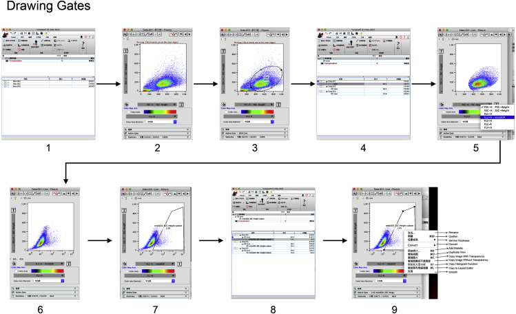 Figure 3