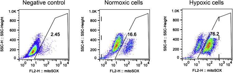 Figure 2