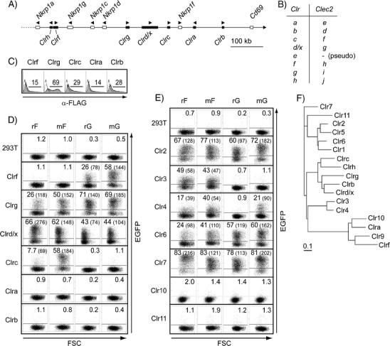 Fig. 3