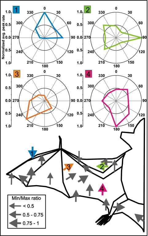 Fig. 3.