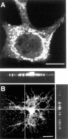 Fig. (3)