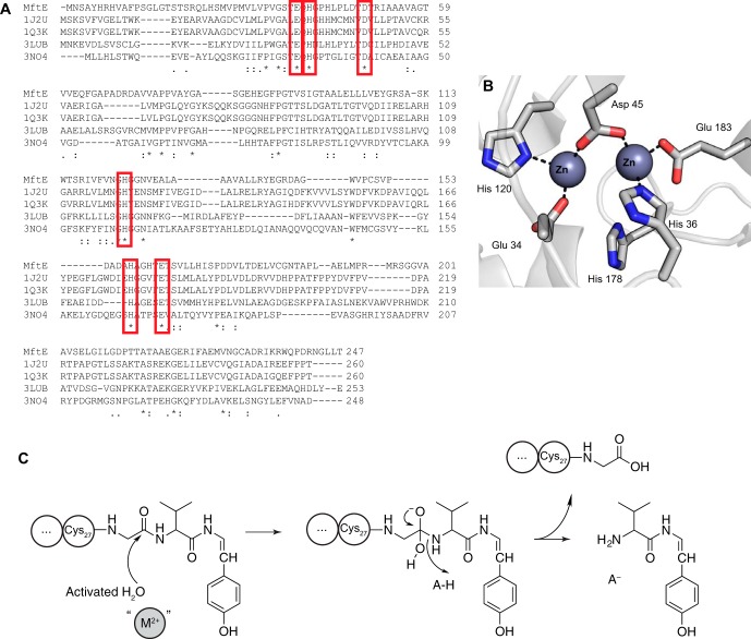 FIGURE 11.