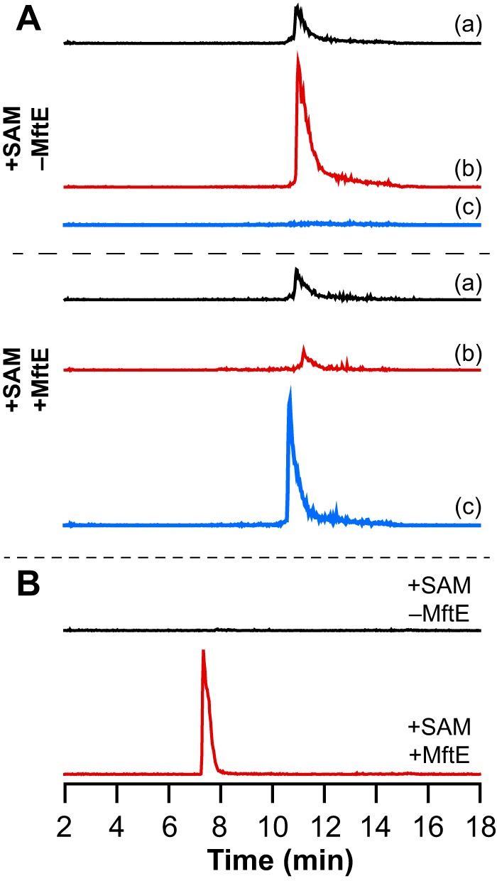 FIGURE 10.