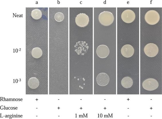 FIG 2