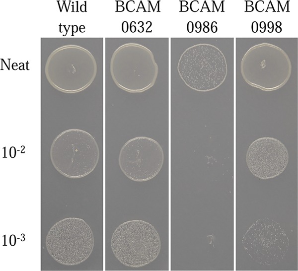 FIG 3